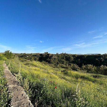 Villa Ignacia B&B - Naturaleza Entre Ronda Y Setenil アリアテ エクステリア 写真