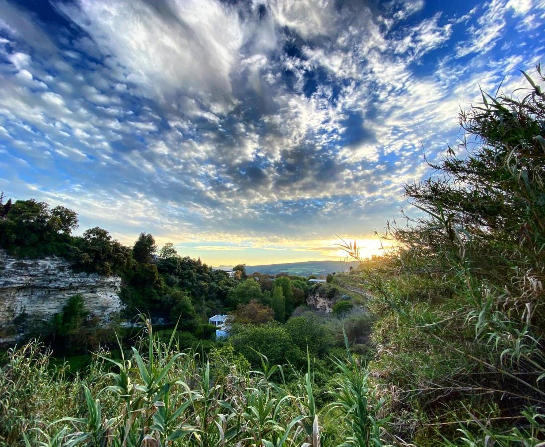 Villa Ignacia B&B - Naturaleza Entre Ronda Y Setenil アリアテ エクステリア 写真