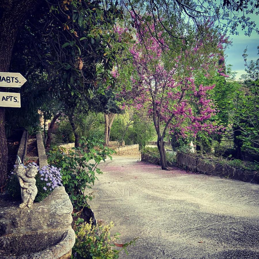 Villa Ignacia B&B - Naturaleza Entre Ronda Y Setenil アリアテ エクステリア 写真