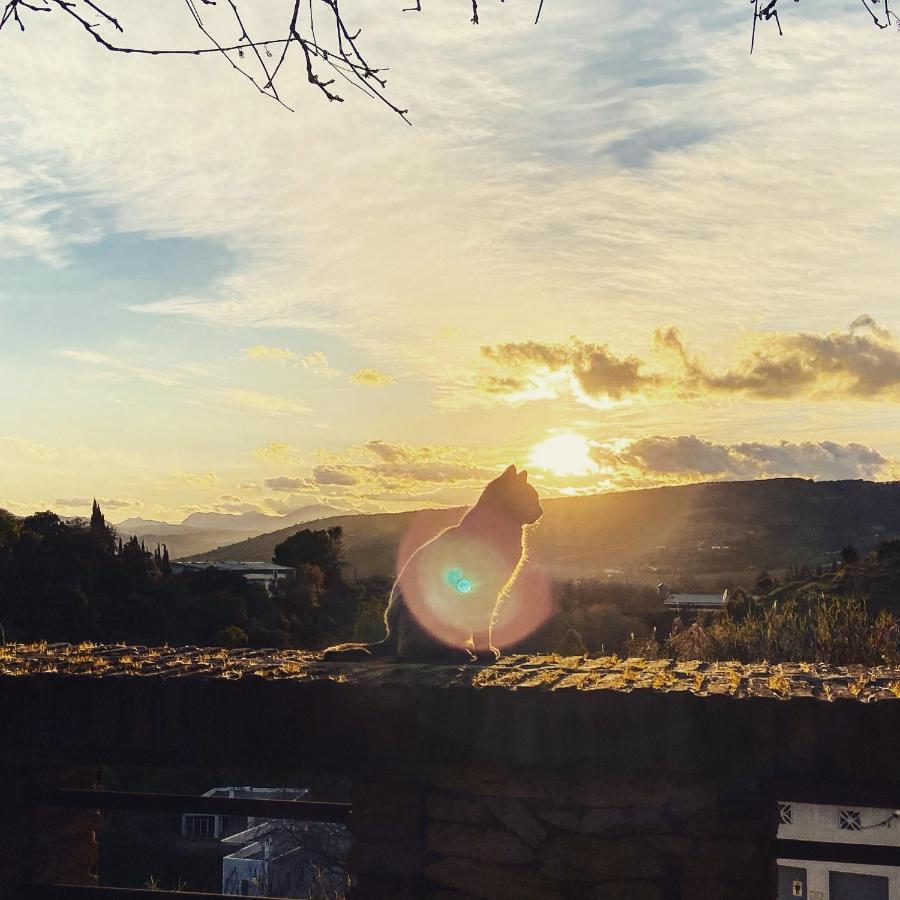 Villa Ignacia B&B - Naturaleza Entre Ronda Y Setenil アリアテ エクステリア 写真