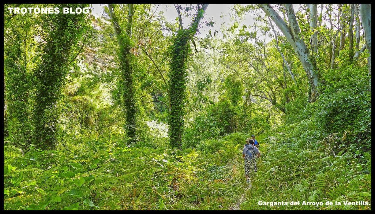Villa Ignacia B&B - Naturaleza Entre Ronda Y Setenil アリアテ エクステリア 写真