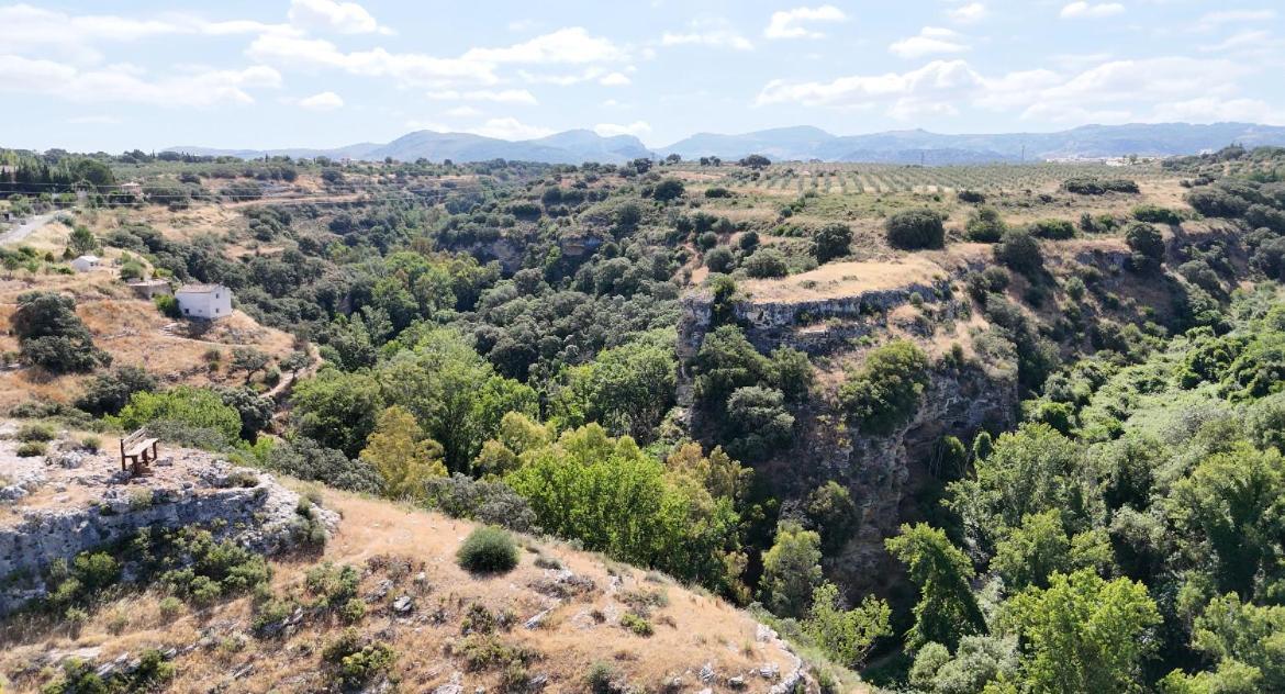 Villa Ignacia B&B - Naturaleza Entre Ronda Y Setenil アリアテ エクステリア 写真