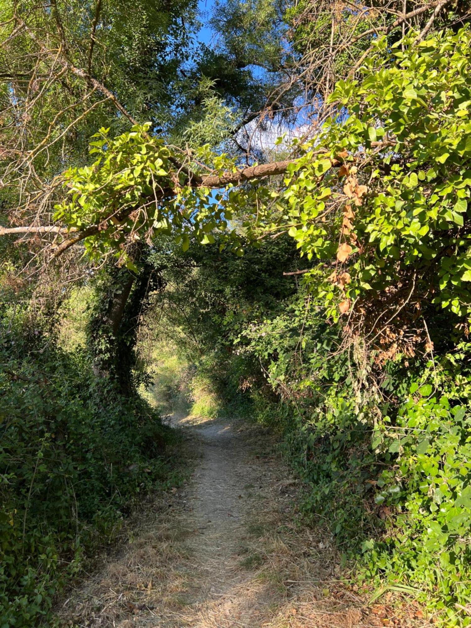 Villa Ignacia B&B - Naturaleza Entre Ronda Y Setenil アリアテ エクステリア 写真