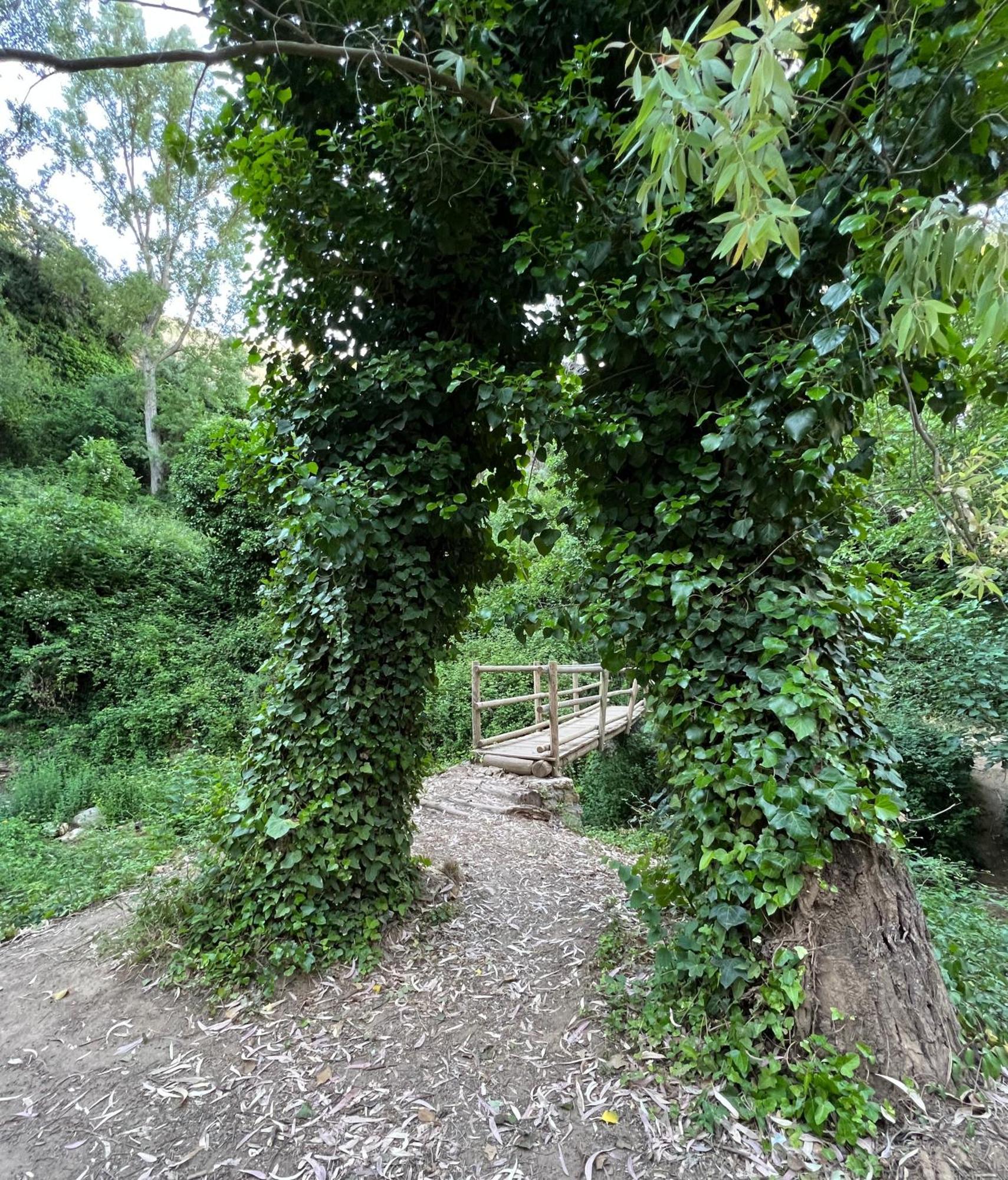 Villa Ignacia B&B - Naturaleza Entre Ronda Y Setenil アリアテ エクステリア 写真