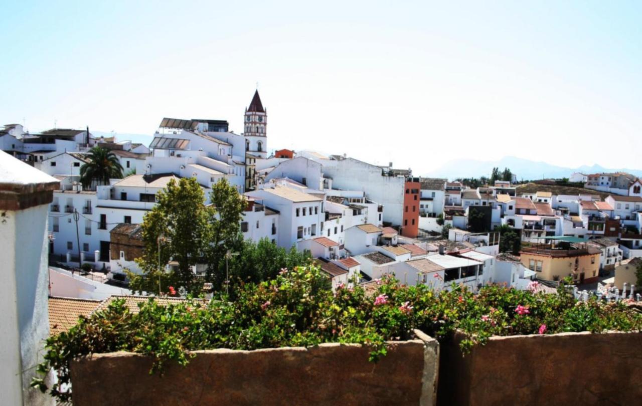 Villa Ignacia B&B - Naturaleza Entre Ronda Y Setenil アリアテ エクステリア 写真