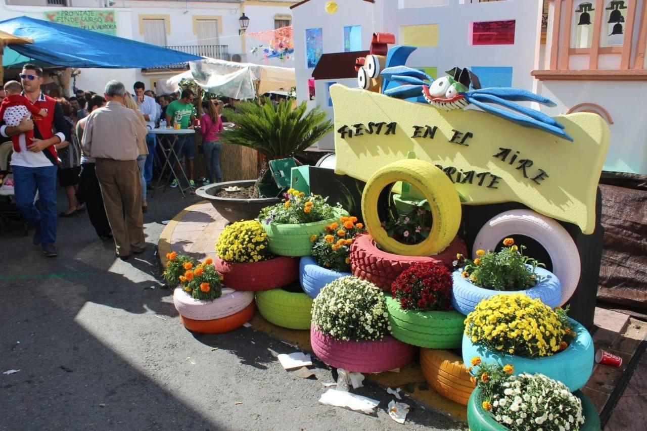 Villa Ignacia B&B - Naturaleza Entre Ronda Y Setenil アリアテ エクステリア 写真